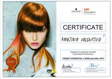 Certifikát 9